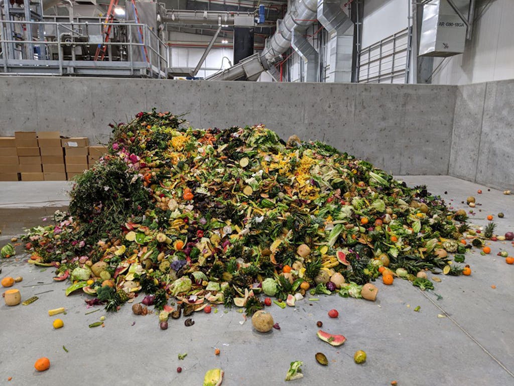 Food waste