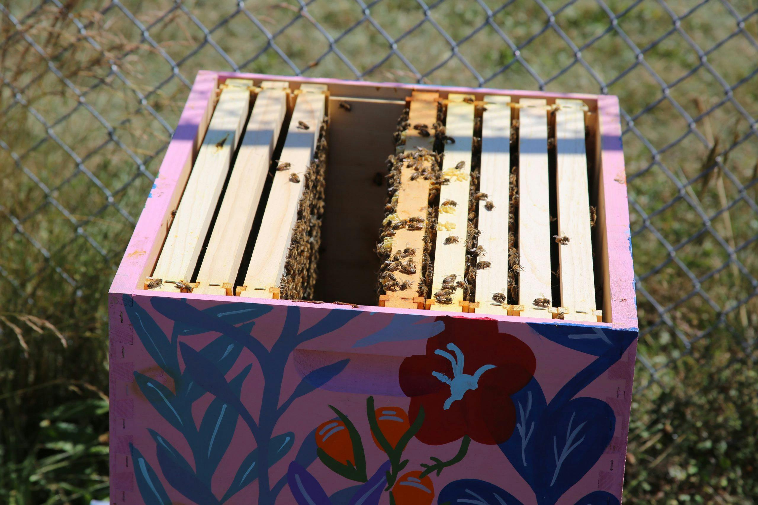 The Giant Co. Bee Hive