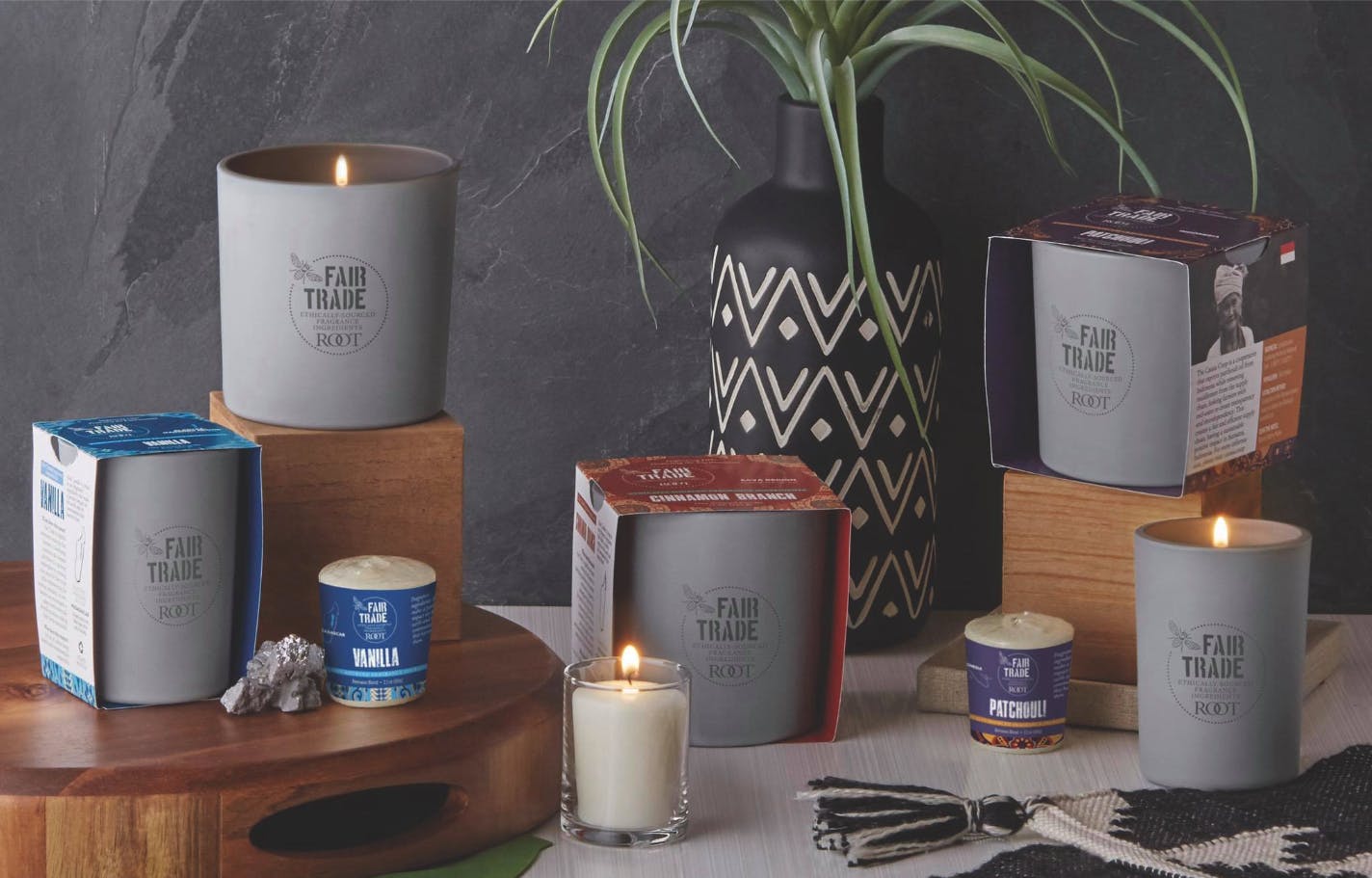 Supplier Spotlight Root Candles lights up the shelves of Albertsons The RangeMe Blog