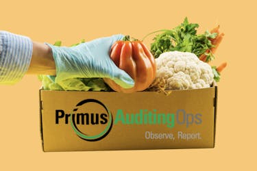 Primus Auditing Ops