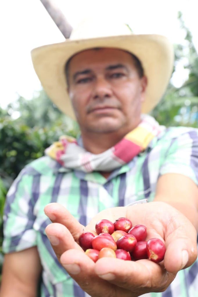 Coffee Fruit Farmer