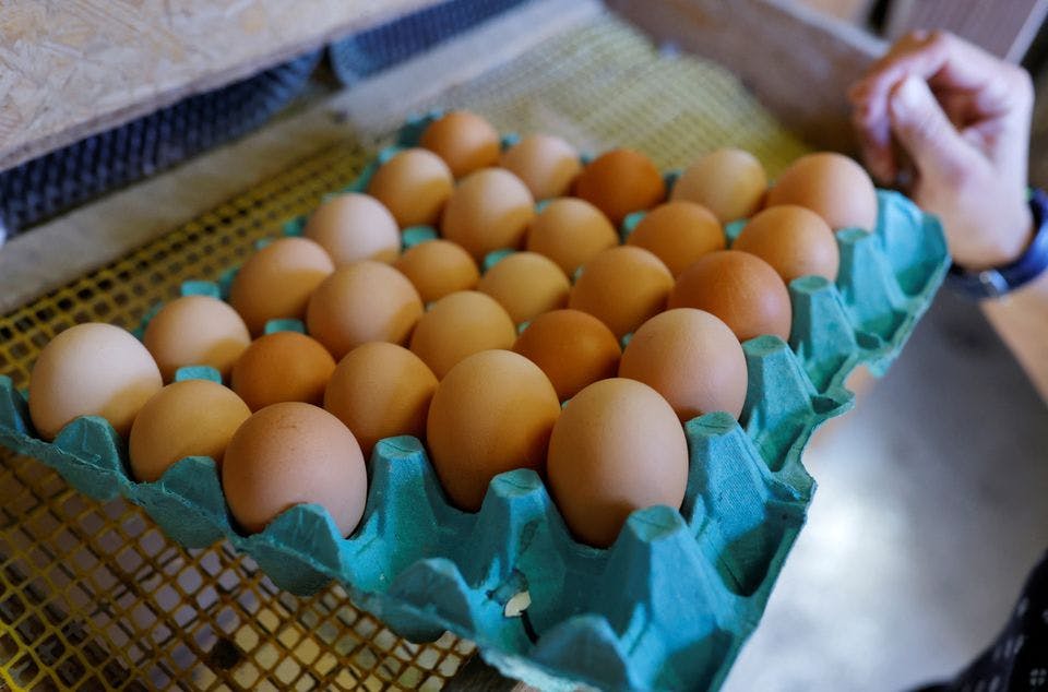 Egg sales go up